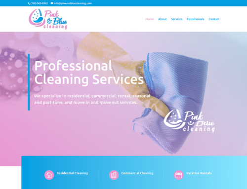 Pink & Blue Cleaning